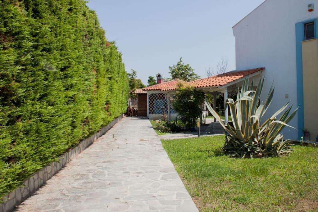 Wonderful House With Private Garden Villa Флогита Екстериор снимка
